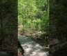 The Best Hidden Beaches in Virginia Beach | Virginia Beach Secrets
