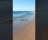 Top 5 Longest Beaches in the World 🌊🏖️