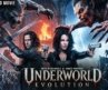 Underworld: Evolution Full Hollywood Movie Hindi Dubbed | Vampire Movie | Hindi Action Horror Movie