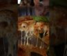 NYC’s Best Pizza Tier List