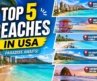 These 5 American Beaches Are Absolutely Stunning in 4K @Trip-to-Go #info #usa