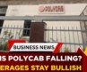 Strong Earnings, Weak Stock? Why Polycab Is Sliding Despite Broker Upgrades | Business News | ET Now
