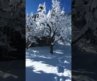 Most Beautiful Places In The World Best Place In The World | #shorts #shortvideo #trending #nature