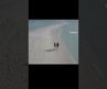 Best Beaches of the World | White Heaven Beach | Australia | Travel Baba #shorts