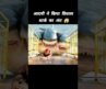 आदमी ने किया विशाल शार्क का अंत 😱 l Hollywood movie hindi dubbed l #shorts #shark