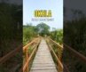 OKHLA BIRD SANCTUARY NOIDA/DELHI 2024 I Best Park for Couples in Delhi#ytshorts #okhlabirdsanctuary