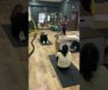 strength training weight loss workout – Gym and fitness center in Madhapur Hyderabad