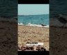 Best Beaches In #connecticut  Milford ct | Living In connecticut
