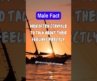 Men Fact – Neurological Nexus #music #artist #song