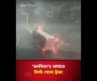 চায়নায় ‘ডলফিনে’র আঘাতে উল্টে গেলো ট্রাক! | Star News