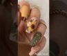you are not regular girl ….. you are fairy. 🏄‍♀️ Nail art Ideas. #usa #canada #nails #usareels