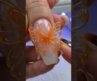 Nail art #trending #usa #beauty #women #viral #shorts #girl #nails #viral #nailart