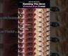 I Rank The Best Wahdon Eye Trend #tiktoktrend #usa #shorts