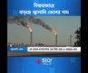 বিশ্ববাজারে বাড়ছে জ্বালানি তেলের দাম #OilPrice #CrudeOil #GlobalEconomy #starnews