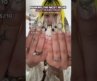 Ranking the most niche nail transitions!