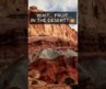 The Utah desert is hiding an orchard 🍑