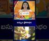 భోగాపురం ఎయిర్ పోర్టుకు బస్సుల ప్రారంభం | Bhogapuram International Airport |  TV5 News