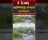 4 பேரை குறிவைத்து தாக்கும் காகங்கள்! | Wayanad