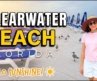 Clearwater Beach, Florida 🌊 America’s Best Beach | Bãi Biển Đẹp Nhất Nước Mỹ [4K]