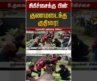 சிகிச்சைக்கு பின் குணமடைந்த குதிரை! | Nilgiri