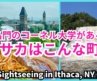 名門校のコーネル大学があるイサカ市はこんな場所！アメリカ、ニューヨーク州　Ithaca & Cornell University