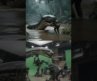 Hollywood movie shooting scene in vfx studio fighting with python anaconda #Hollywood #VFX #vfxshort