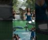 Hollywood movie shooting scene in vfx studio fighting with anaconda #Hollywood #VFX #vfxshorts