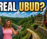 Is Ubud, Bali Still Worth Visiting? What We Actually Found