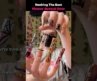 I Rank The Best Nail Art Transitions (new)