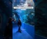 India’s largest under water fish tunnel expo in Mumbai  #india #underwater #aquarium #mumbai