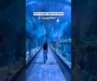 India’s Longest Aquarium in Bangalore | Places to visit in Bangalore | Weekend for kids|Water park