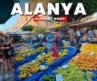 Peak Summer Vibes! Exploring Mahmutlar Tuesday Market in August 🏖️🛒
