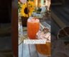 48 Hour Guide to Oceanside – Must Visit Rooftop Bar! 🌅🍹
