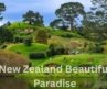 Top Most Attaractions Places in New Zealand | Travel Video | NZ