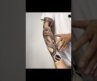 🆕wearable tattoo | 🔗swifttattoo.com#swifttattoo #tattooshorts #tattoosleeve #temporarytattoo #usa