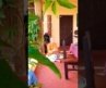 Ayurveda Retreat, Goa ! 🤍 #soundhealing #beauty #nature #openairyogstudio #shorts #yoga