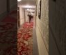 Haunted Stanley Hotel in Estes Colorado