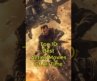 Top 10 Best Action Movies Of All Time
