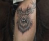 Majestic Stag Tattoo in Progress | Cinematic Macro Ink Art 🦌