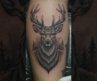 Majestic Stag Tattoo in Progress | Ultra-Realistic Macro Ink Art 🦌