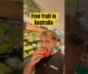 Best Fruit in the world 🍎#australia #aussie #grocery #fruit #shopping #woolworths #travel #fyp