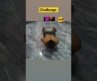 #GymMotivation  #DesiFitness #FatLoss Fat Loss, Weight Loss, Home Workout, Gym
