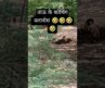 Tau ke classes: Funny audio short  #funny #trending #shorts #viralvideo #shortvideo #short #ytshorts