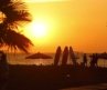 Top 5 Baja California Sur Beach Bars with Craft Beer, Ocean Views & Live Music