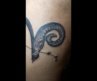Aries Tattoo | Ram Tattoo made for zodiac sign Aries | Aries Tattoo Design and meaning
