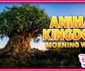 Animal Kingdom Morning at Disney World | 1K Community Celebration, Gorilla Falls & Everest | Day 357