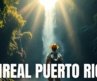 7 Incredible Things To Do In Puerto Rico Without Overspending