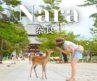 奈良で過ごす、少し贅沢な夏｜1泊2日の旅