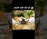 जादुई पानी 😳 Hollywood movie hindi dubbed l #shorts #water