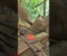 🌍 THIS ISN’T JUST A NAIL WATCH HOW HE FORGES IT FROM FIRE! 🔥❤️⚒️ #shorts #usashorts #viralvideo #usa